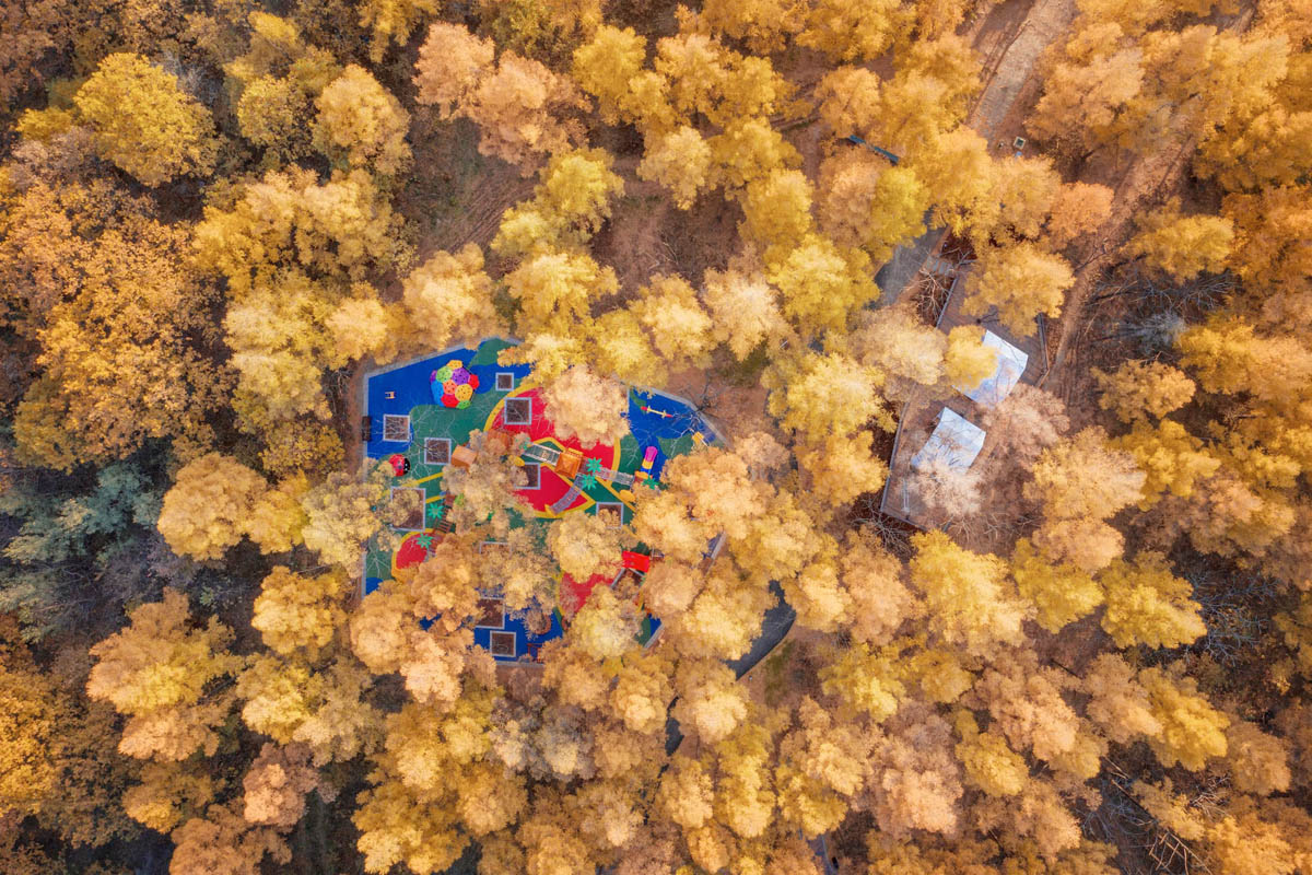 長春力旺蓮花山孔雀林